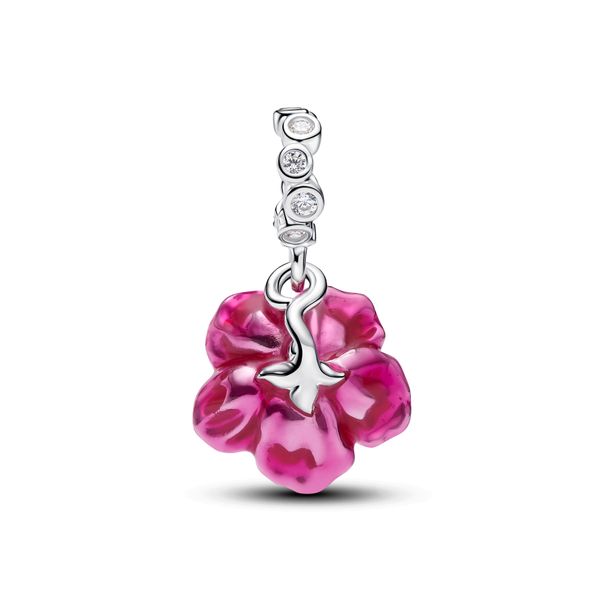 Pandora Charms Image 2 The Source Fine Jewelers Greece, NY