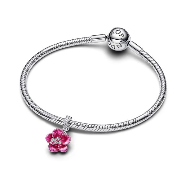 Pandora Charms Image 3 The Source Fine Jewelers Greece, NY