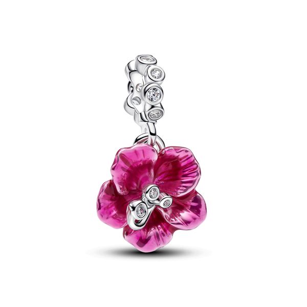 Pandora Charms The Source Fine Jewelers Greece, NY