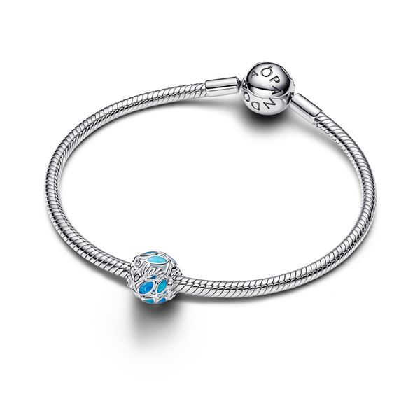 Pandora Charms Image 3 The Source Fine Jewelers Greece, NY