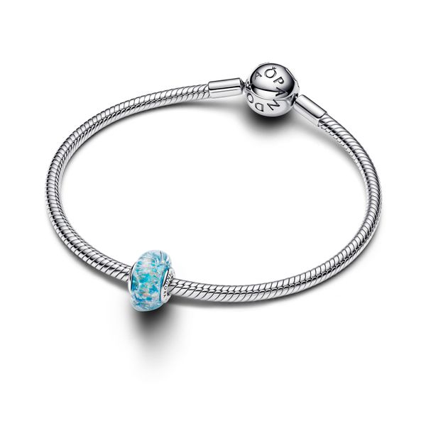 Pandora Charms Image 3 The Source Fine Jewelers Greece, NY