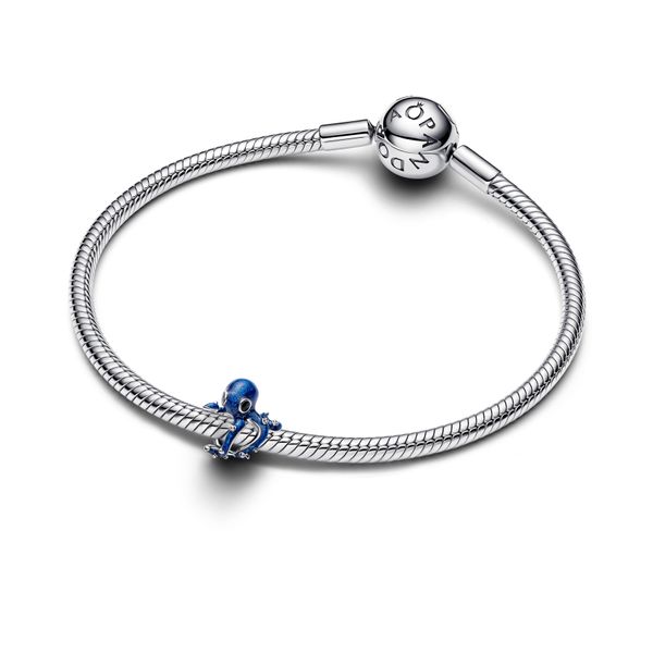 Pandora Charms Image 3 The Source Fine Jewelers Greece, NY