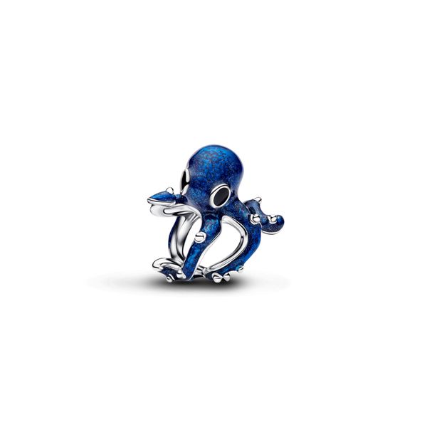 Pandora Charms The Source Fine Jewelers Greece, NY