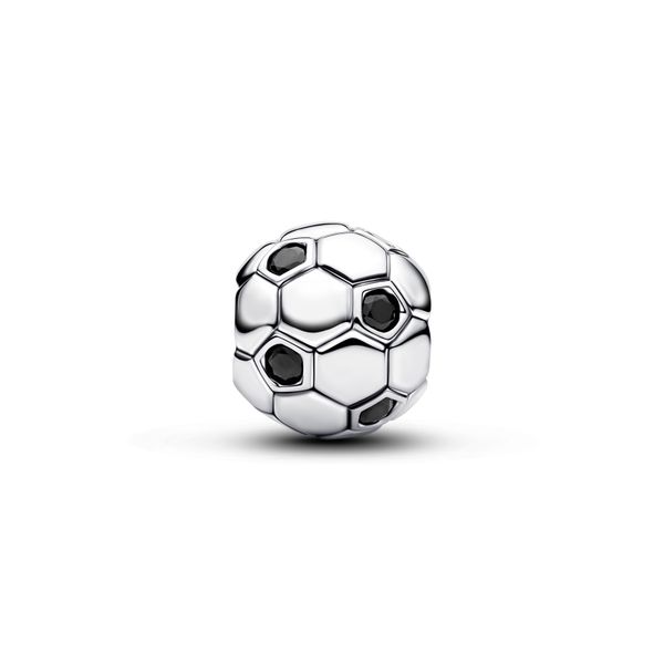Pandora Charms Image 2 The Source Fine Jewelers Greece, NY
