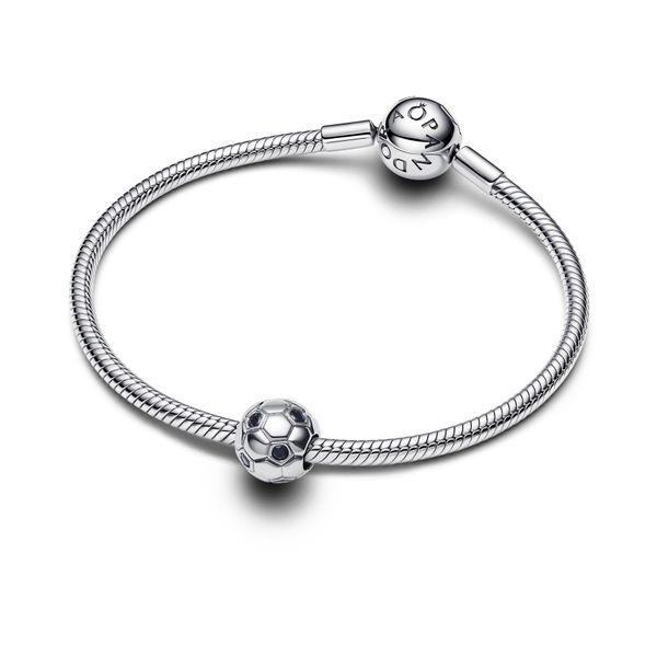 Pandora Charms Image 3 The Source Fine Jewelers Greece, NY