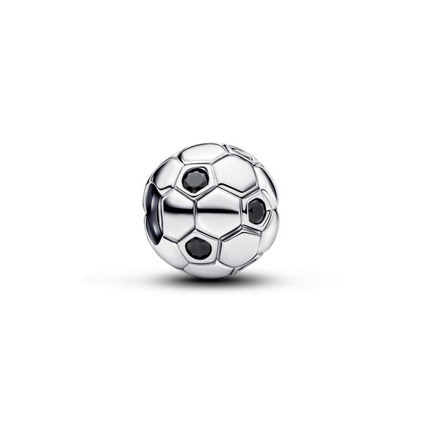 Pandora Charms The Source Fine Jewelers Greece, NY