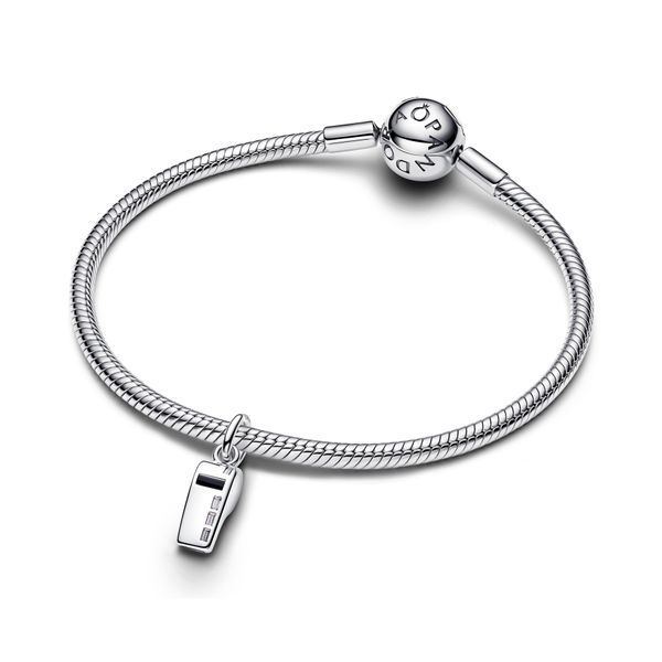 Pandora Charms Image 3 The Source Fine Jewelers Greece, NY
