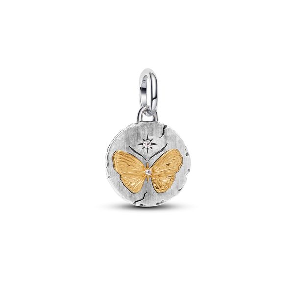 Pandora Charms The Source Fine Jewelers Greece, NY