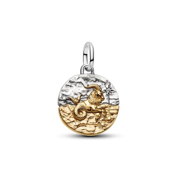 Pandora Charms The Source Fine Jewelers Greece, NY