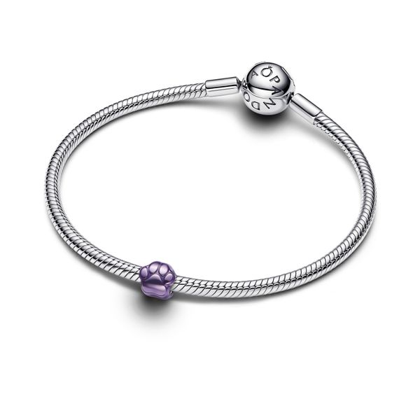Pandora Charms Image 3 The Source Fine Jewelers Greece, NY