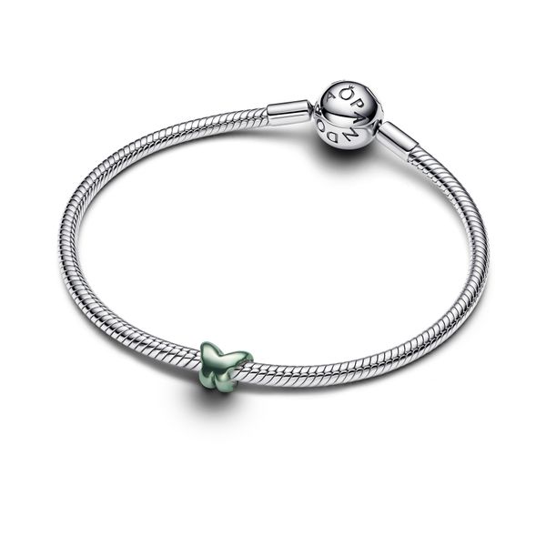 Pandora Charms Image 3 The Source Fine Jewelers Greece, NY