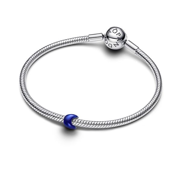 Pandora Charms Image 3 The Source Fine Jewelers Greece, NY
