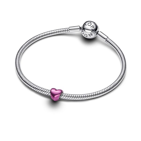Pandora Charms Image 3 The Source Fine Jewelers Greece, NY