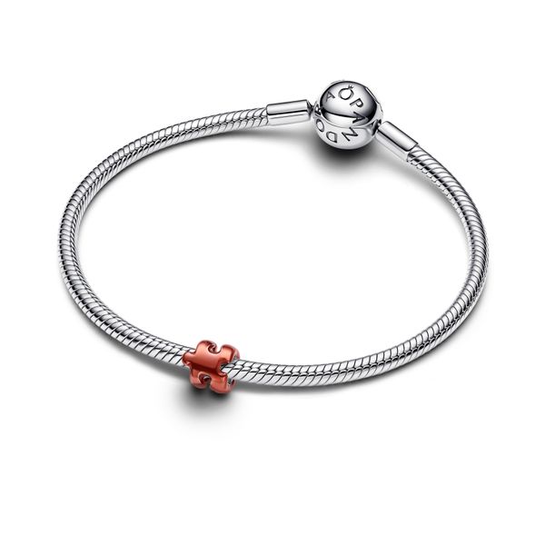 Pandora Charms Image 3 The Source Fine Jewelers Greece, NY