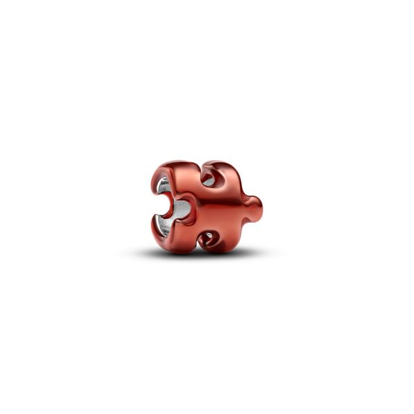 Pandora Charms The Source Fine Jewelers Greece, NY