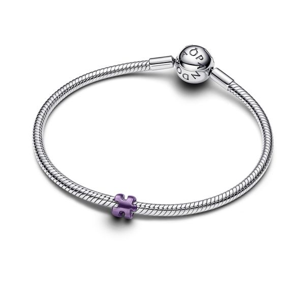 Pandora Charms Image 3 The Source Fine Jewelers Greece, NY