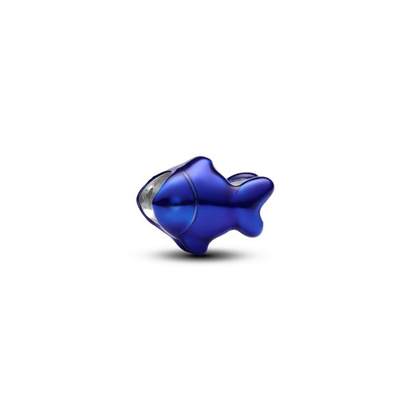 Pandora Charms The Source Fine Jewelers Greece, NY