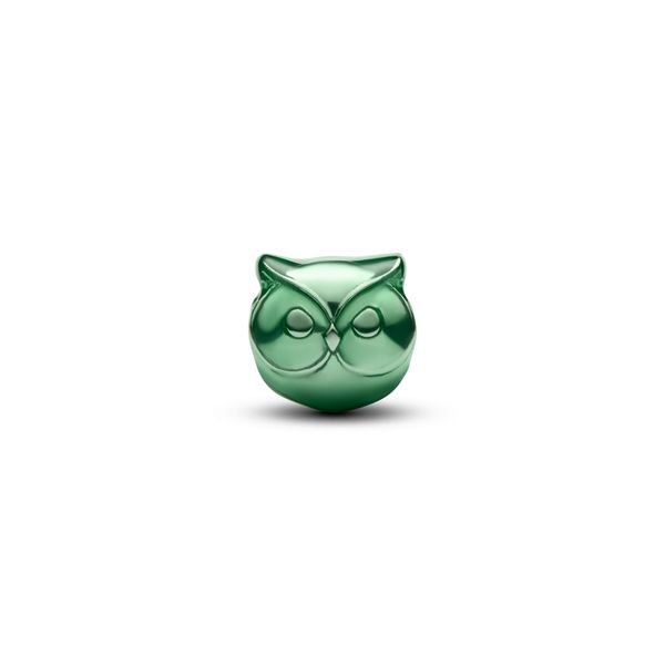 Pandora Charms Image 2 The Source Fine Jewelers Greece, NY