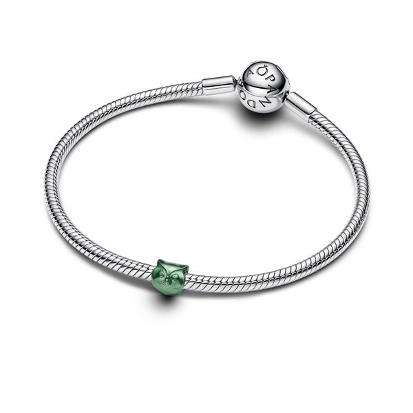 Pandora Charms Image 3 The Source Fine Jewelers Greece, NY