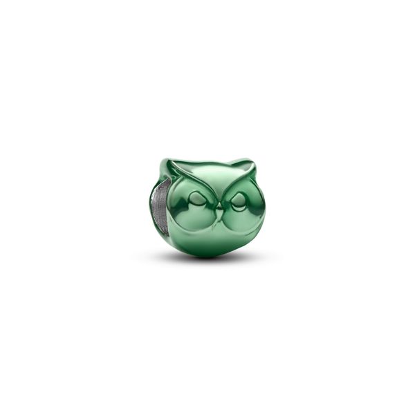 Pandora Charms The Source Fine Jewelers Greece, NY