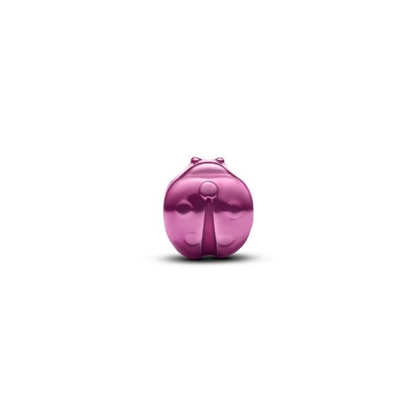 Pandora Charms Image 2 The Source Fine Jewelers Greece, NY