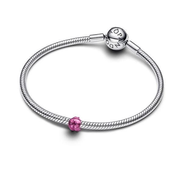 Pandora Charms Image 3 The Source Fine Jewelers Greece, NY
