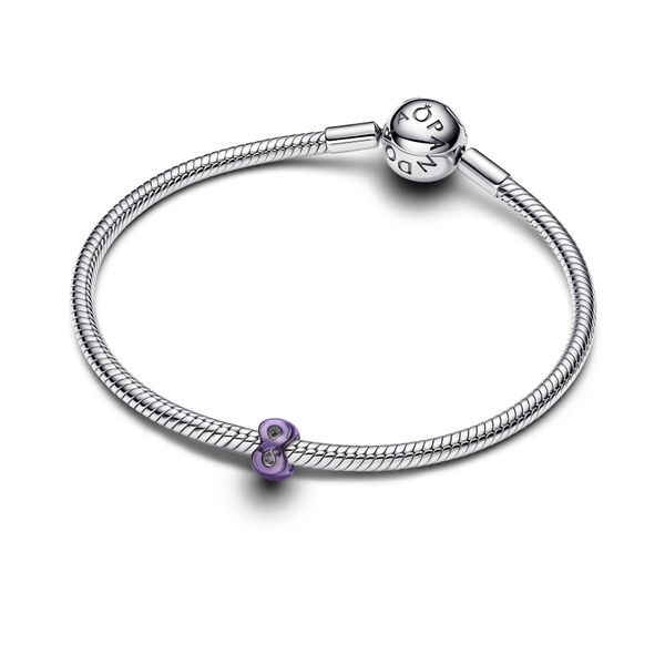 Pandora Charms Image 3 The Source Fine Jewelers Greece, NY
