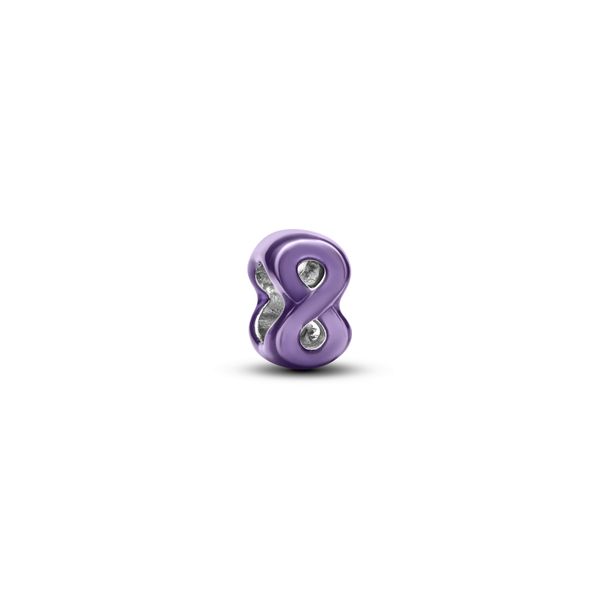 Pandora Charms The Source Fine Jewelers Greece, NY