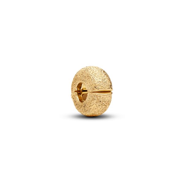 Pandora Charms The Source Fine Jewelers Greece, NY
