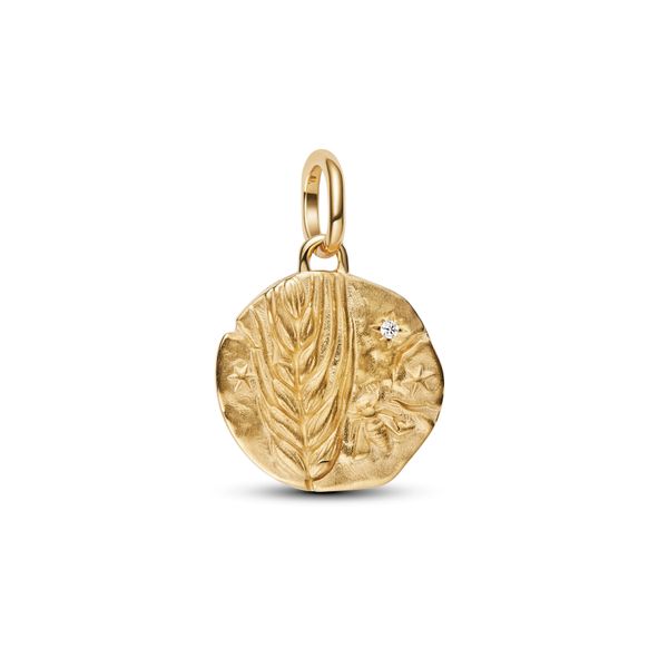 Pandora Charms The Source Fine Jewelers Greece, NY