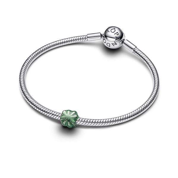 Pandora Charms Image 3 The Source Fine Jewelers Greece, NY