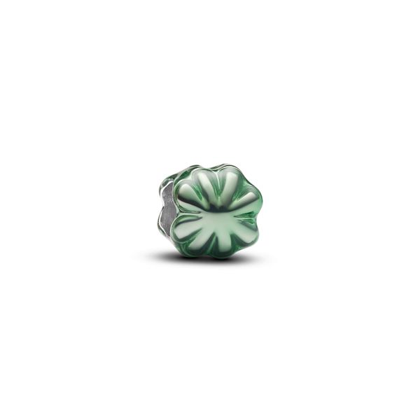 Pandora Charms The Source Fine Jewelers Greece, NY