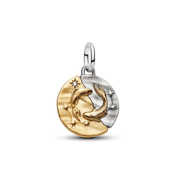 Pandora Charms The Source Fine Jewelers Greece, NY