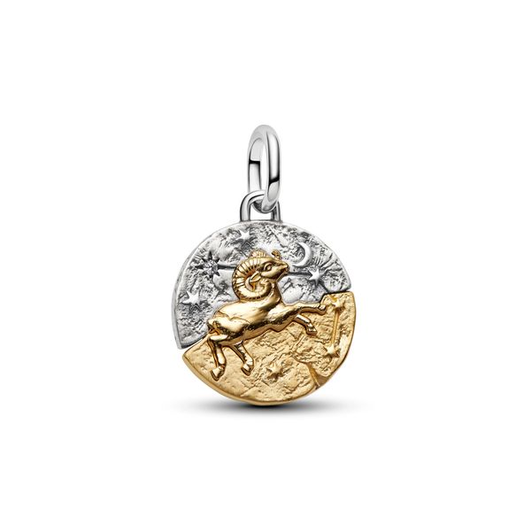 Pandora Charms The Source Fine Jewelers Greece, NY