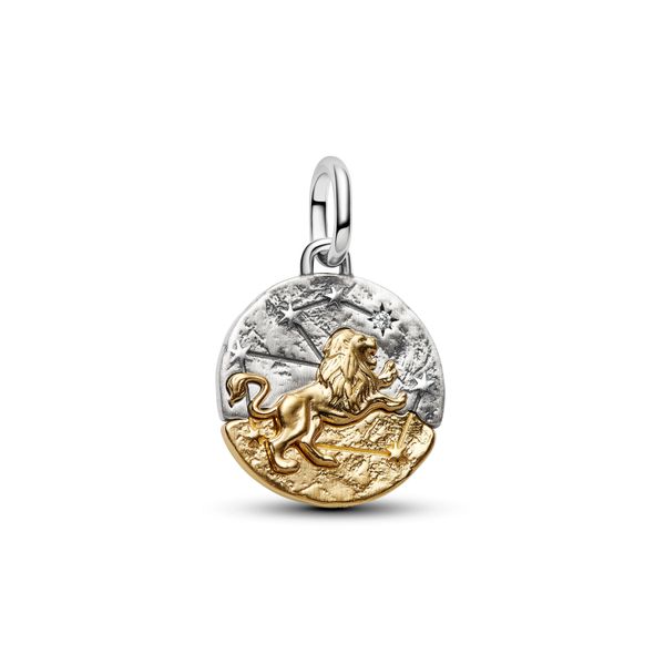 Pandora Charms The Source Fine Jewelers Greece, NY