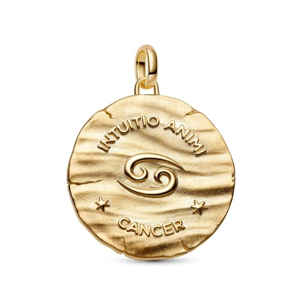 Pandora Charms Image 2 The Source Fine Jewelers Greece, NY