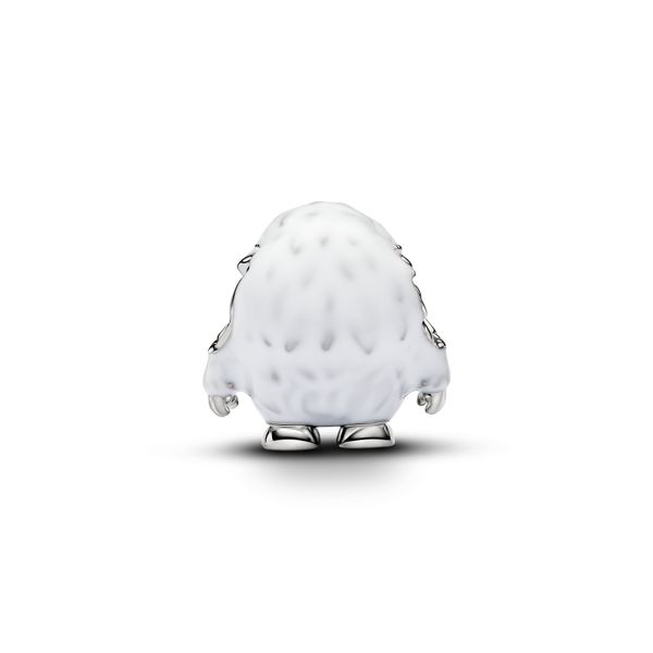 Pandora Charms Image 2 The Source Fine Jewelers Greece, NY