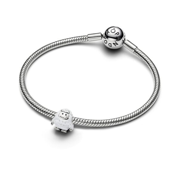 Pandora Charms Image 3 The Source Fine Jewelers Greece, NY