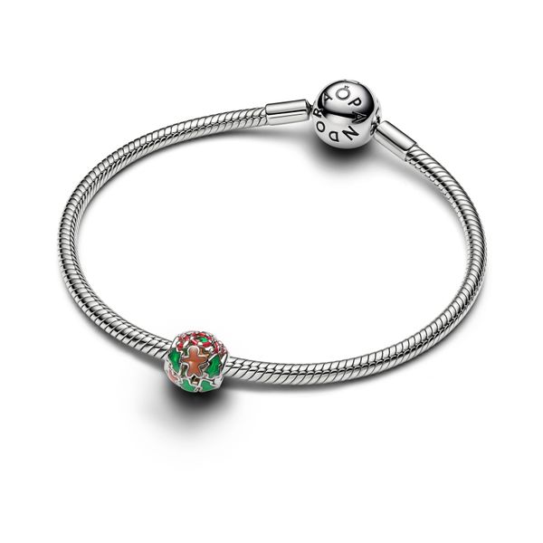 Pandora Charms Image 3 The Source Fine Jewelers Greece, NY