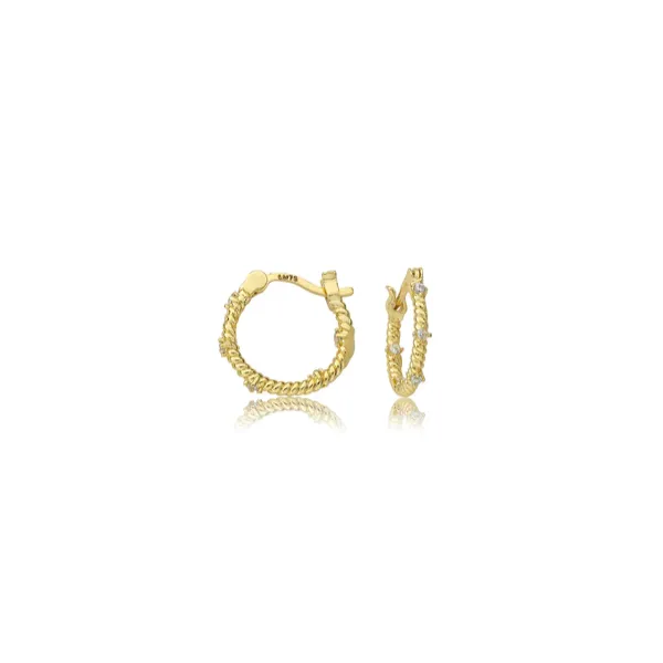 GOLD FILLED EARRINGS The Yellow Door Brooklyn, NY