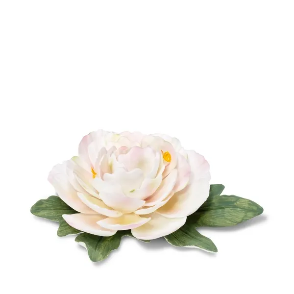 Decor The Yellow Door Brooklyn, NY