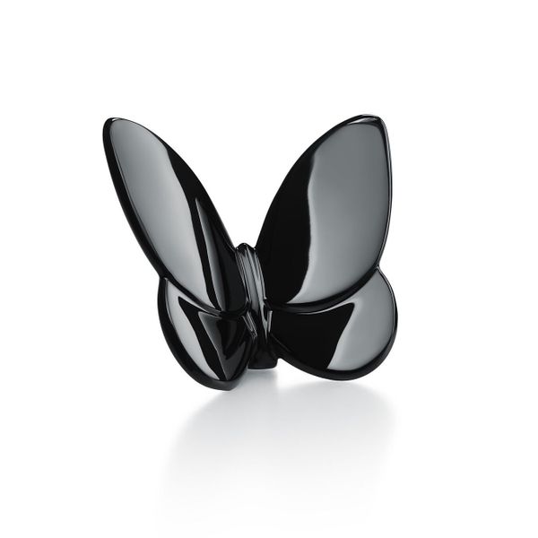 Crystal The Yellow Door Brooklyn, NY