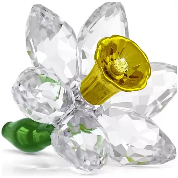 Crystal The Yellow Door Brooklyn, NY