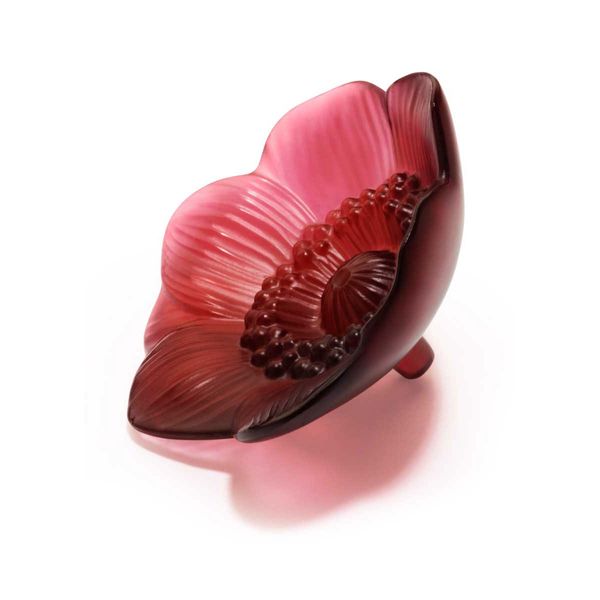 Crystal The Yellow Door Brooklyn, NY