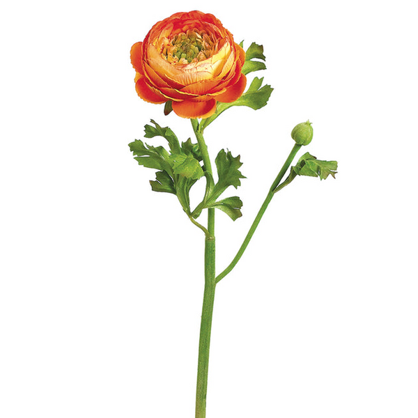 Flowers The Yellow Door Brooklyn, NY