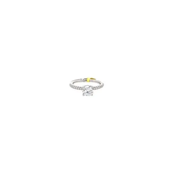 Lab Grown Diamond Wedding Ring Thomas A. Davis Jewelers Holland, MI