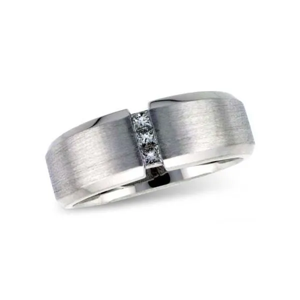 Men's Diamond Wedding Band Thomas A. Davis Jewelers Holland, MI
