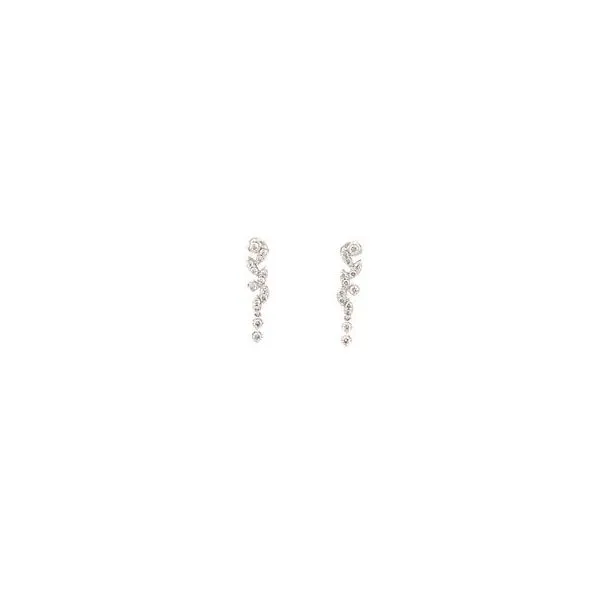 Diamond Earrings Thomas A. Davis Jewelers Holland, MI