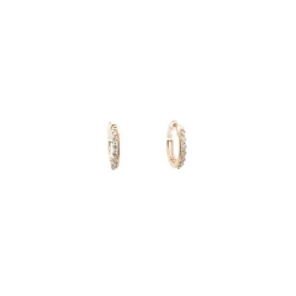 Diamond Earrings Thomas A. Davis Jewelers Holland, MI