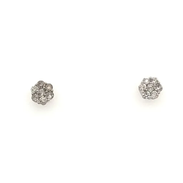 Diamond Earrings Thomas A. Davis Jewelers Holland, MI